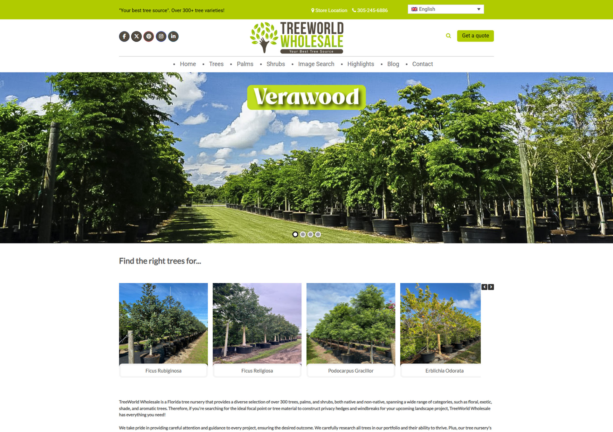 Treeworld Wholesale website screenshot